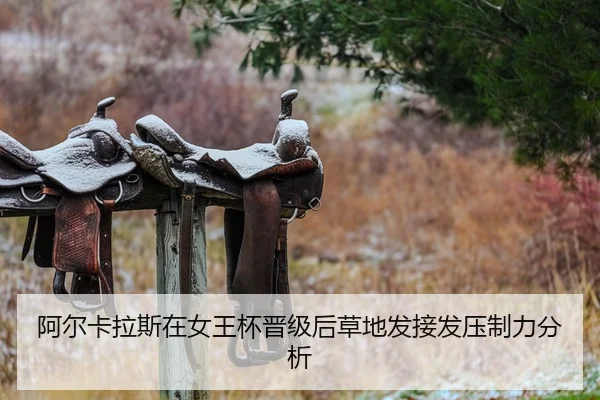 a-er-ka-la-si-zai-nv-wang-bei-jin-ji-hou-cao-di-fa-jie-fa-ya-zhi-li-fen-xi-2-297.jpg