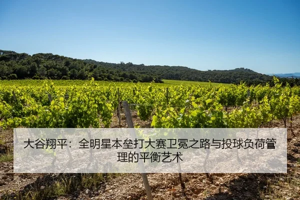 大谷翔平：全明星本垒打大赛卫冕之路与投球负荷管理的平衡艺术